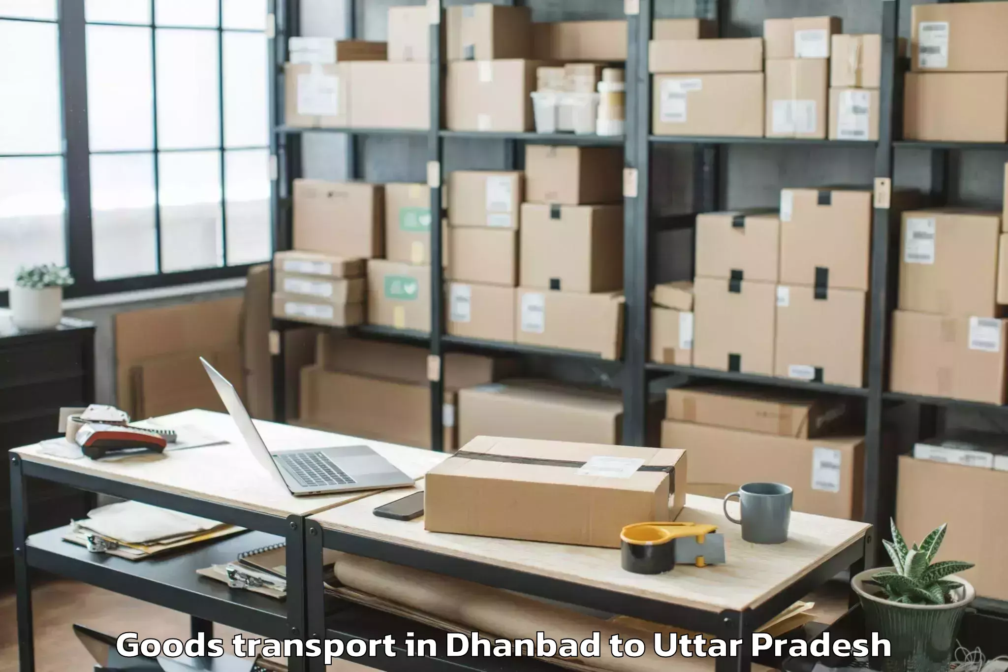 Hassle-Free Dhanbad to Ujhani Goods Transport